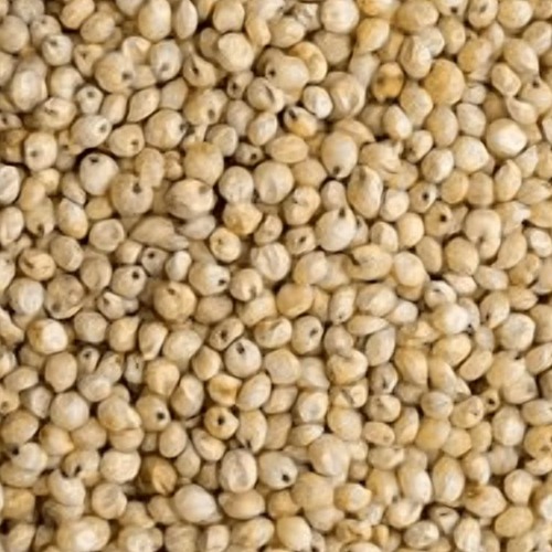 Jowar (Residue Free) | Great Millet | Shorgum