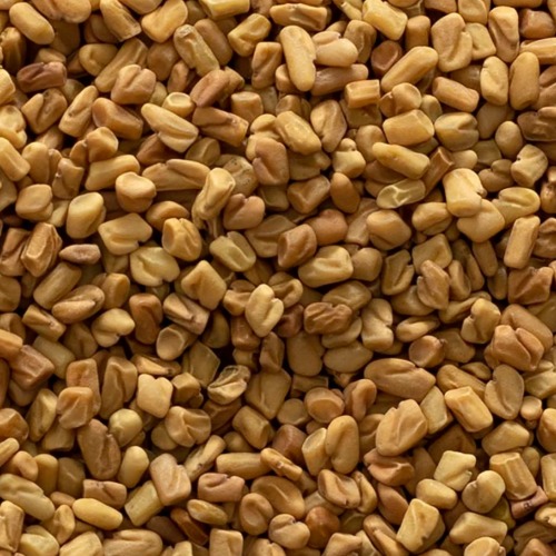 Methi / Fenugreek  Seeds (Residue Free) Paani Foundation Group Jaigaon | Pangarkhel